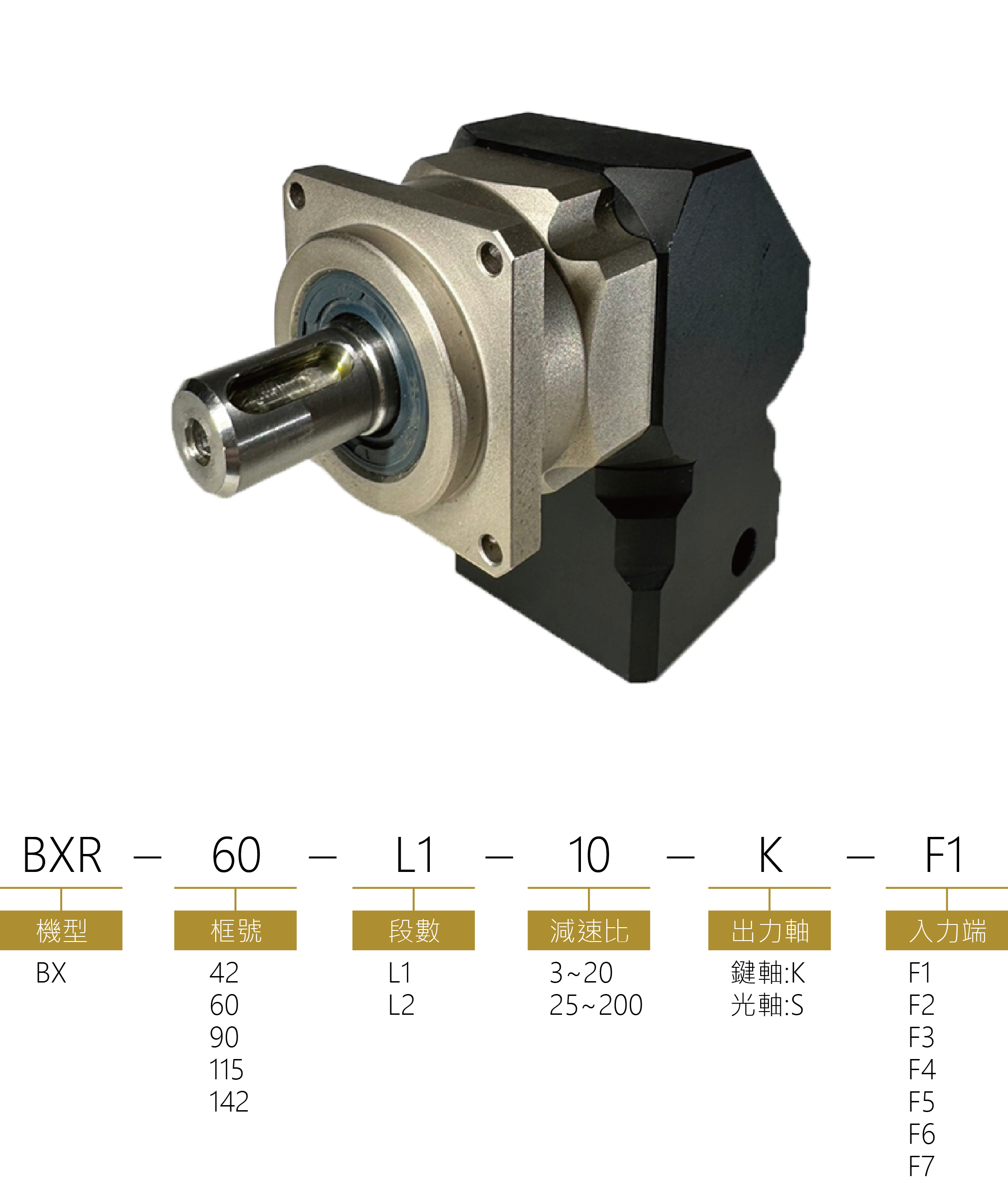 BXR轉角行星減速機