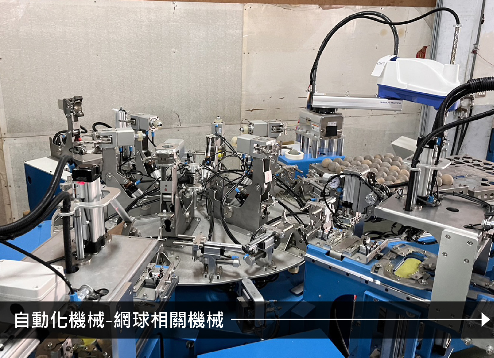 自動化網球印刷機械_RUIFEN